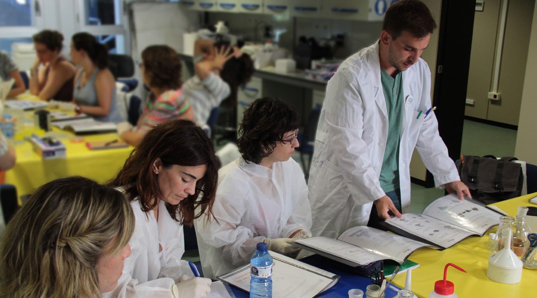 Escoles d’Estiu 2019