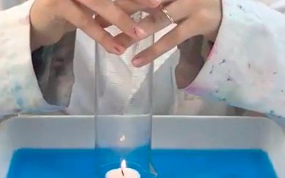 El concurso X(p)rimenta entrega este año 3 premios y 9 menciones a los mejores vídeos sobre ciencias de los escolares catalanes