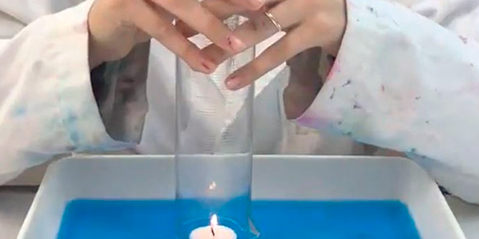 El concurso X(p)rimenta entrega este año 3 premios y 9 menciones a los mejores vídeos sobre ciencias de los escolares catalanes