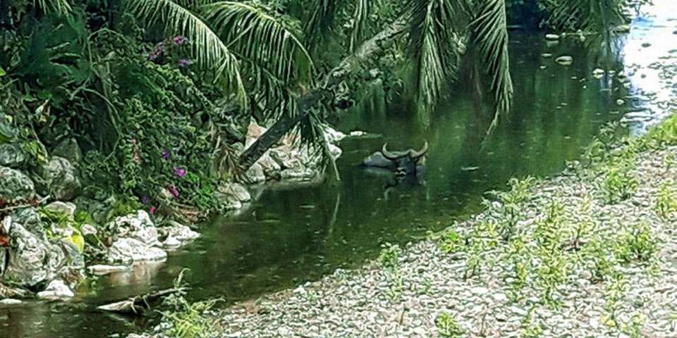 Nova “Aventura científica” a Recerca en Acció: seguint les passes de Magallanes a Guam