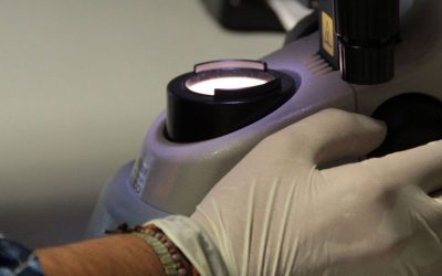 L’FCRi i les universitats catalanes organitzen el concurs “Presenta la teva tesi en 4 minuts”