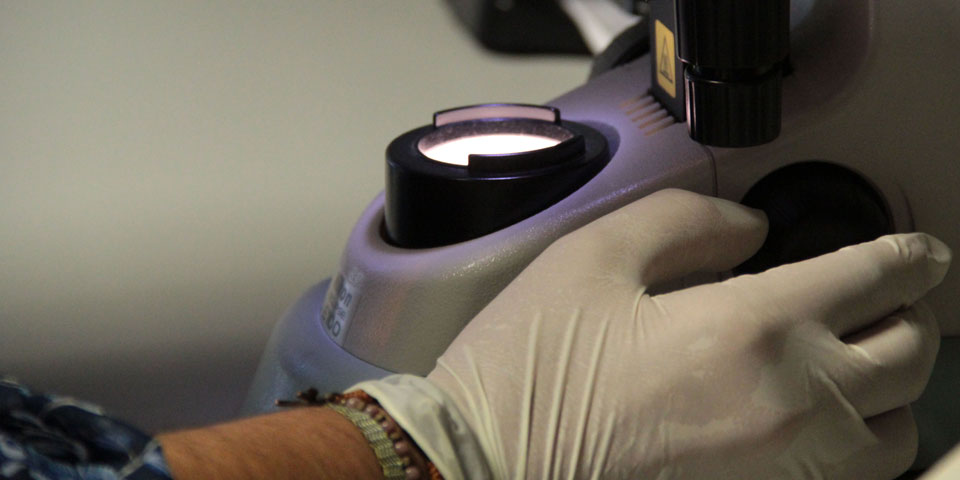 L’FCRi i les universitats catalanes organitzen el concurs “Presenta la teva tesi en 4 minuts”