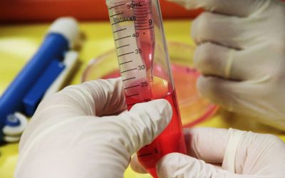 Nova edició de les Escoles d’Estiu de l’FCRi aquest juliol arreu Catalunya