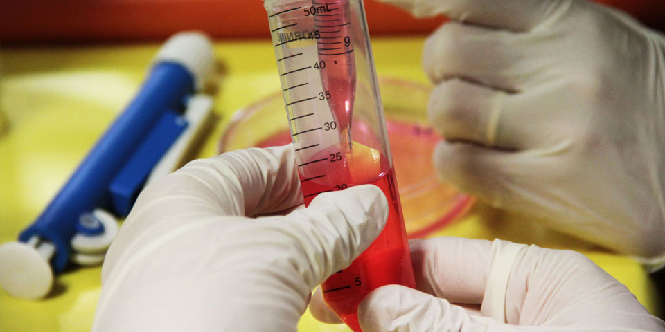 Nova edició de les Escoles d’Estiu de l’FCRi aquest juliol arreu Catalunya