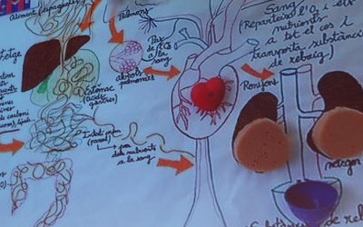Avui es presenta a l’FCRi el programa Petits Talents Científics, curs 2018/2019