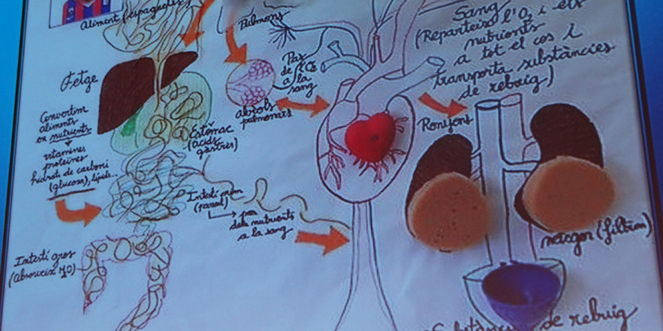 Avui es presenta a l’FCRi el programa Petits Talents Científics, curs 2018/2019