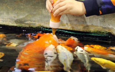 La Setmana de la Ciència homenatja el lingüista i gramàtic català Pompeu Fabra i el físic nord-americà Richard Feynman