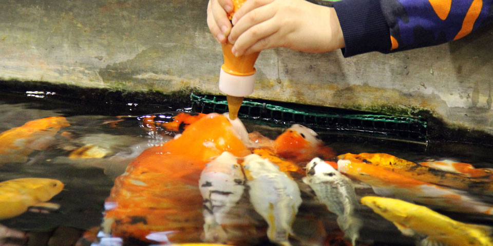 La Setmana de la Ciència homenatja el lingüista i gramàtic català Pompeu Fabra i el físic nord-americà Richard Feynman