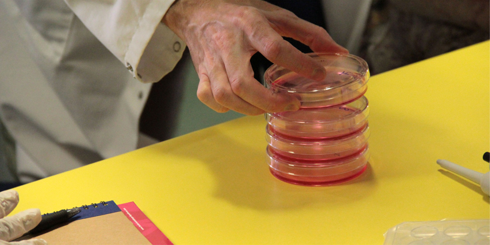 L’FCRi participa al projecte europeu Path2Integrity, destinat a millorar la integritat de la recerca científica