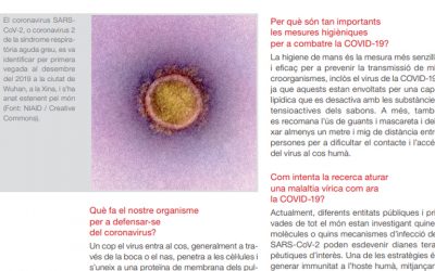 L’FCRI produeix un informe sobre preguntes essencials i notícies falses sobre la COVID-19 per al Parlament de Catalunya