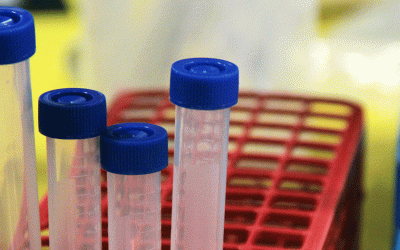 Oberta fins al 2 de novembre la convocatòria dels Premis Nacionals Recerca 2020