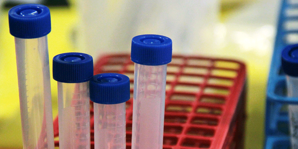 Oberta fins al 2 de novembre la convocatòria dels Premis Nacionals Recerca 2020