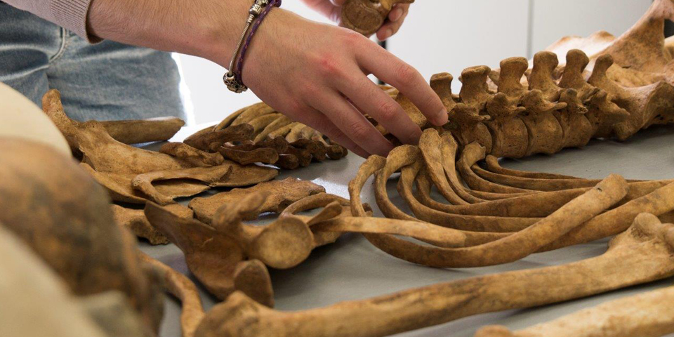 Conclou la Setmana de la Ciència més virtual