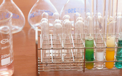 El Programa “Petits Talents Científics” inicia la seva vuitena edició a Barcelona i la primera a L’Hospitalet de Llobregat