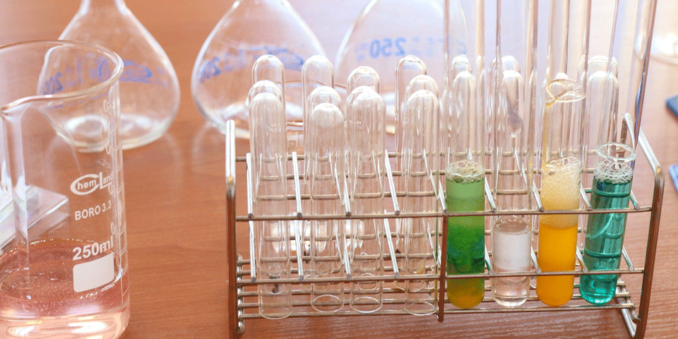 El Programa “Petits Talents Científics” inicia la seva vuitena edició a Barcelona i la primera a L’Hospitalet de Llobregat