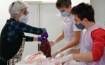 El programa educatiu Amgen TransferCiència arribarà a 400 alumnes catalans en la seva segona edició