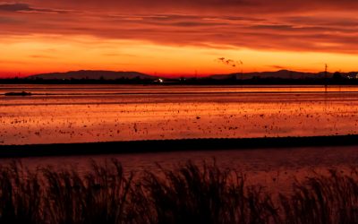 Turisme i ciència conflueixen a la Costa Daurada i Terres de l’Ebre en dues rutes científiques creades per l’FCRI