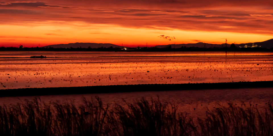 Turisme i ciència conflueixen a la Costa Daurada i Terres de l’Ebre en dues rutes científiques creades per l’FCRI
