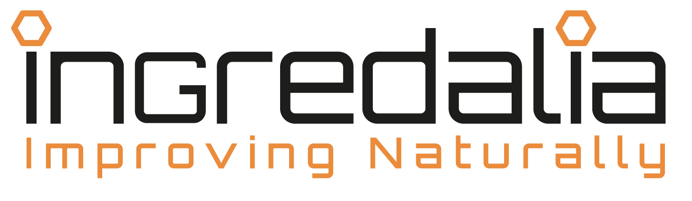 logo universitat girona