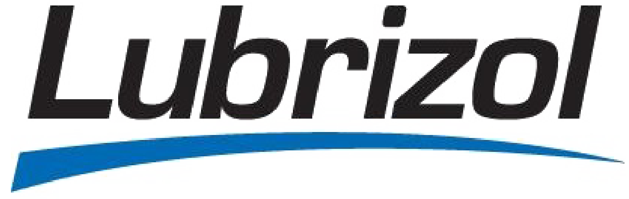 logo universitat girona