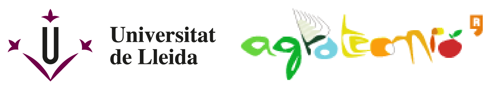 logo universitat girona