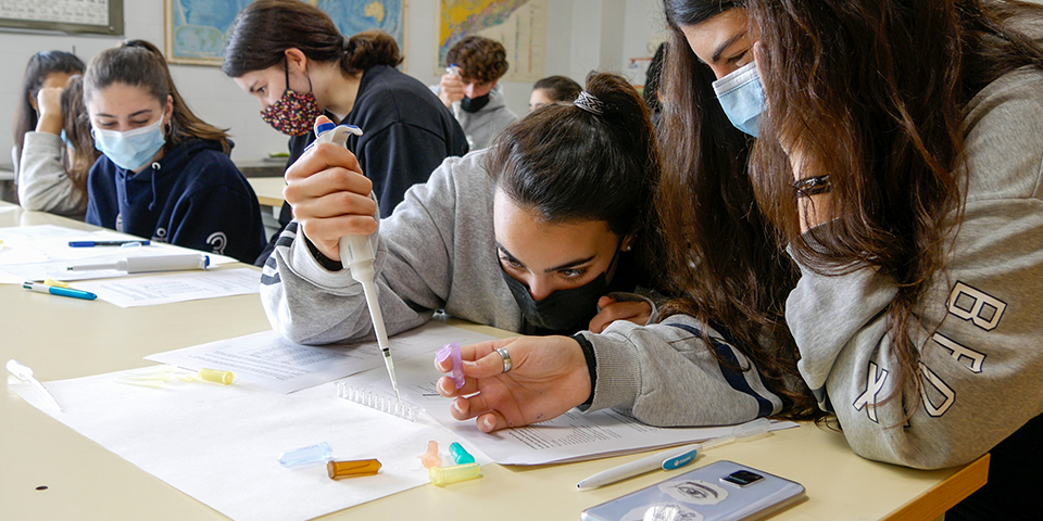 27 joves investigadors participen en la tercera edició del programa educatiu Amgen TransferCiència a Madrid, València, Catalunya i Balears