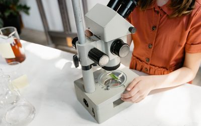 Aquests són els finalistes del concurs X(p)rimenta 2021!