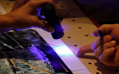 Gairebé 300 alumnes d’infantil i primària de sis col·legis presenten els seus projectes de recerca al Fòrum d’Experiències de Petits Talents Científics a la Garrotxa