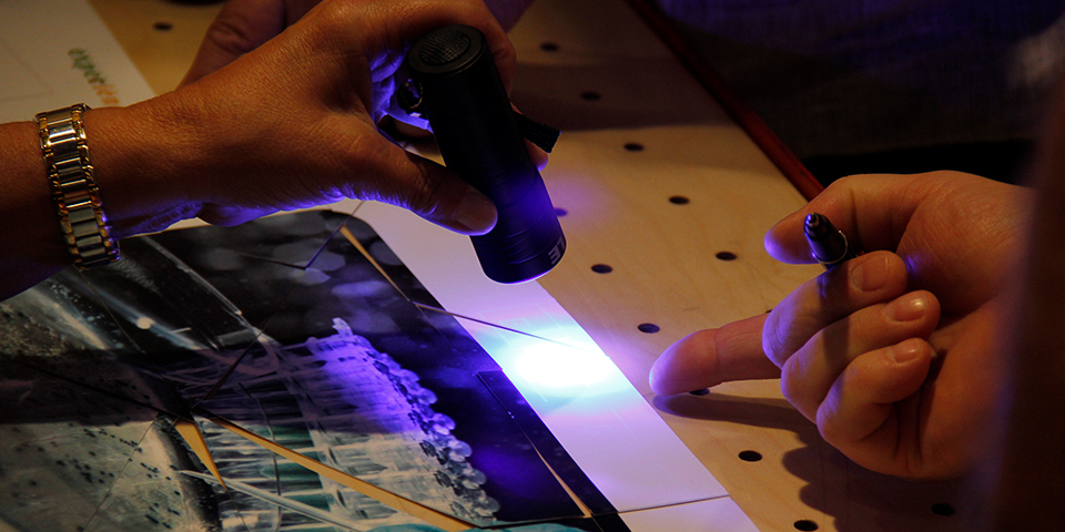 Gairebé 300 alumnes d’infantil i primària de sis col·legis presenten els seus projectes de recerca al Fòrum d’Experiències de Petits Talents Científics a la Garrotxa