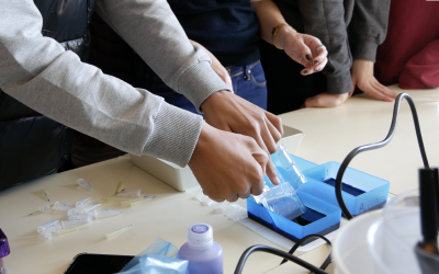 El programa educatiu «AMGEN TransferCiència» formarà en biotecnologia i genètica 380 alumnes d’ESO i batxillerat de 15 escoles catalanes