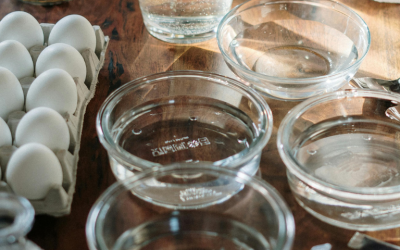 La fascinant relació entre cuina i ciència i la seva aportació a la nutrició i la salut, temàtica de la pròxima Àgora, l’espai de diàleg científic per al públic general de l’AE-BKH