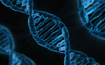 Els diàlegs científics Frontiers of Science and Technology in Society de l’AE-BKH debaten la integració entre genètica i biologia cel·lular