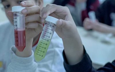 La genètica i la biotecnologia es transformen en eines d’innovació educativa al programa «Amgen TransferCiència»