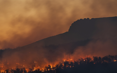 L’informe “Changing Wildfires: Policy Options for a Fire-literate and Fire- adapted Europe” centra el desè diàleg Frontiers of Science and Technology in Society del Barcelona Knowledge Hub de l’Academia Europaea