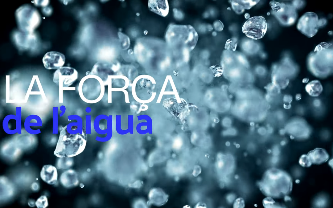 El Pirineu de Lleida es converteix en escenari de la nova ruta científica ‘La Força de l’Aigua’, impulsada per l’FCRI