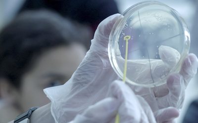 El programa Amgen TransferCiència apropa la genètica i la biotecnologia a 300 alumnes catalans de secundària i batxillerat