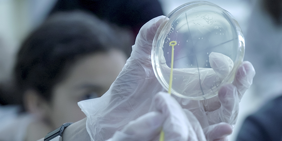 El programa Amgen TransferCiència apropa la genètica i la biotecnologia a 300 alumnes catalans de secundària i batxillerat